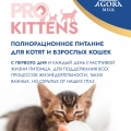 Сухая молочная смесь 100г.
