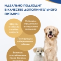 Сухая молочная смесь 250г. с комплектом для вскармливания