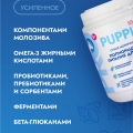 Сухая молочная смесь 250г. с комплектом для вскармливания