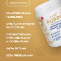 Сухая молочная смесь 250г. с комплектом для вскармливания