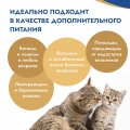 Сухая молочная смесь 100г.