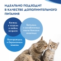 Сухая молочная смесь 100г. 