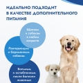 Сухая молочная смесь 250г. с комплектом для вскармливания